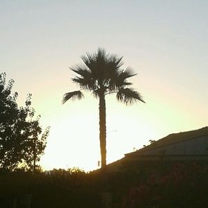 Meet your Posher, Leann